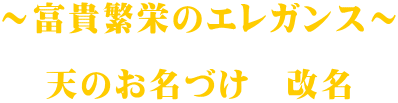 ～富貴繁栄のエレガンス～  天のお名づけ　改名